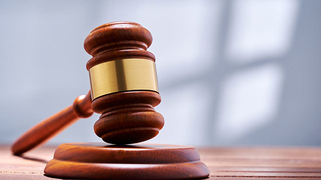 Nomination committee appointed